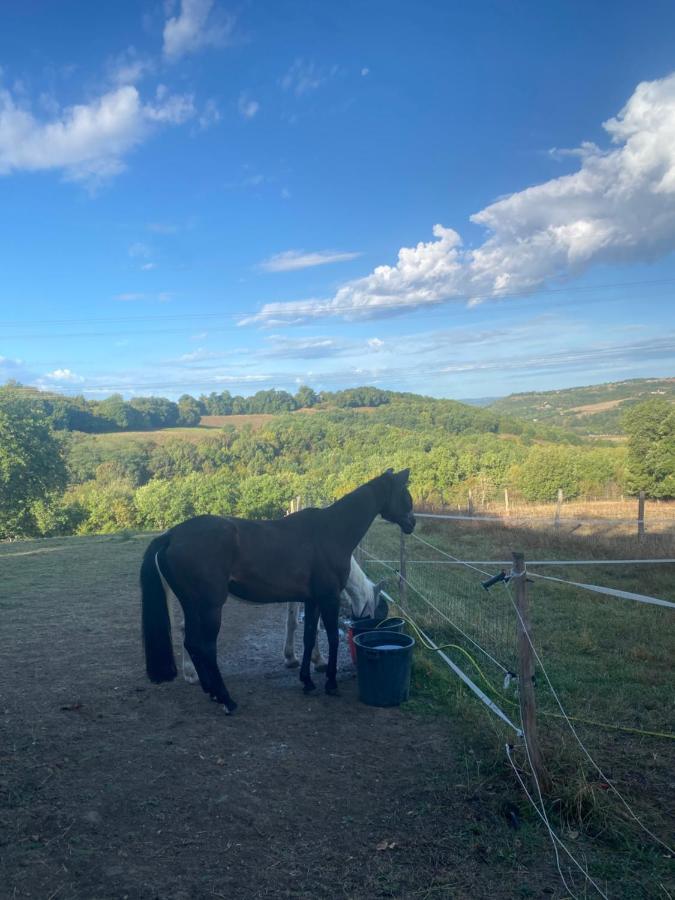 Chez Sophie - Gite Et Gite Equestre Clermont-Dessous Zewnętrze zdjęcie
